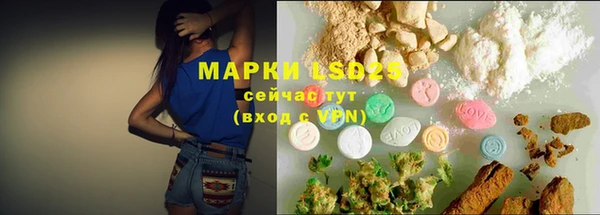 ГАЛЛЮЦИНОГЕННЫЕ ГРИБЫ Балахна
