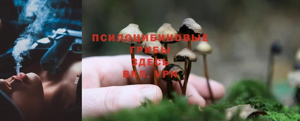 ECSTASY Баксан