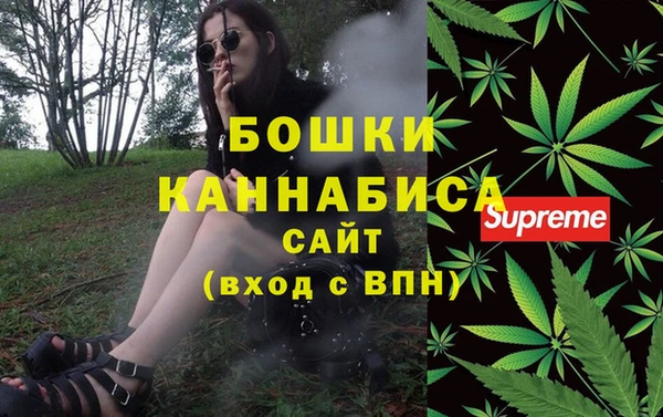 ГАЛЛЮЦИНОГЕННЫЕ ГРИБЫ Балахна