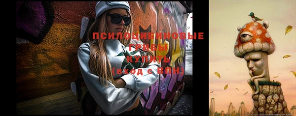 ECSTASY Баксан